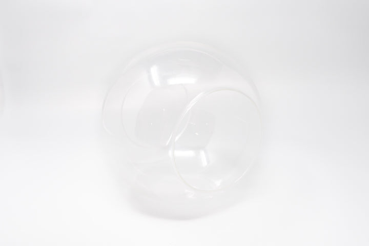 large glass globe terrarium with two open ends