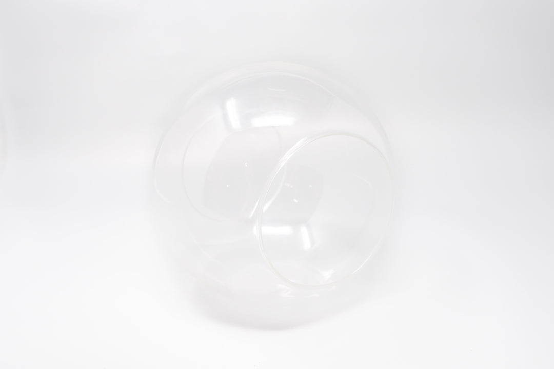 large glass globe terrarium with two open ends