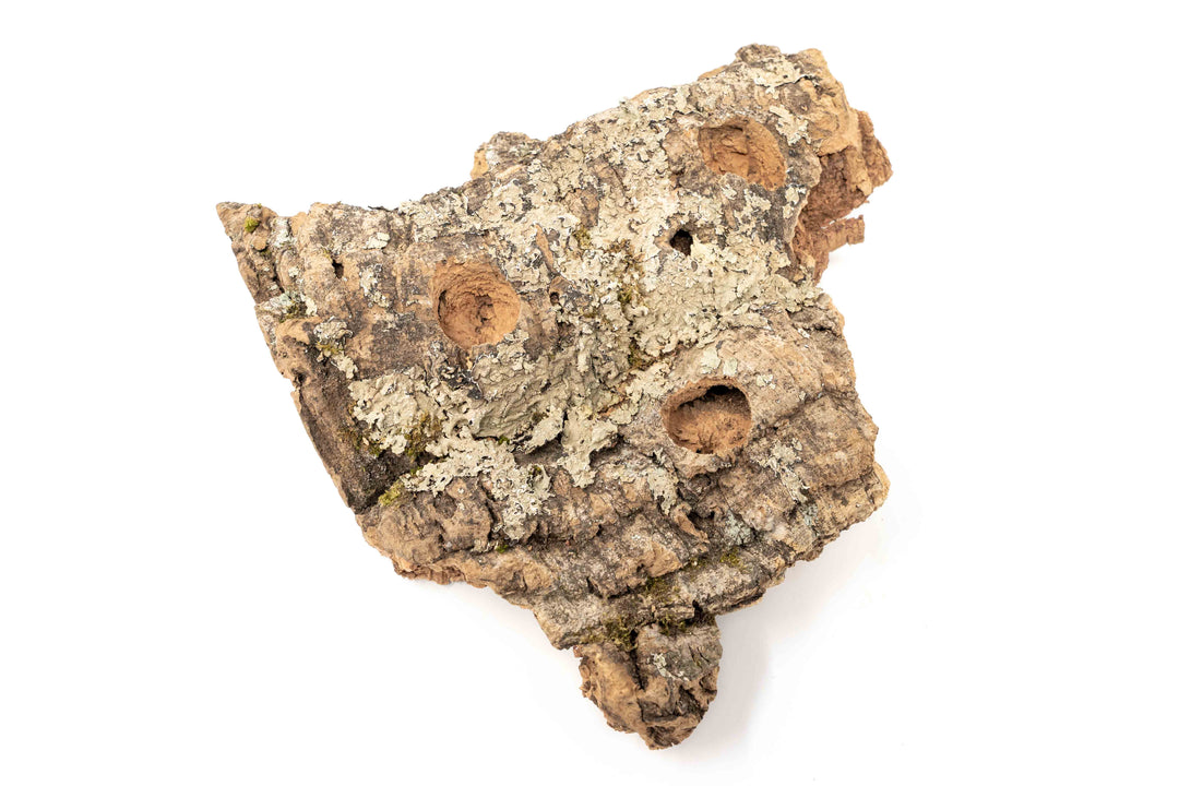 medium cork bark