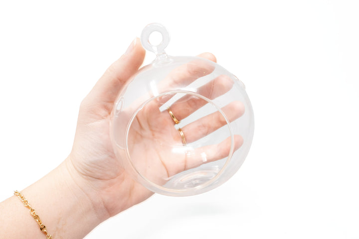 hand holding a flat bottom glass globe terrarium