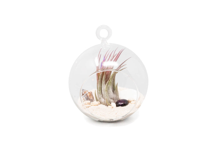 Wholesale - White Beach Terrariums With Flat Bottom