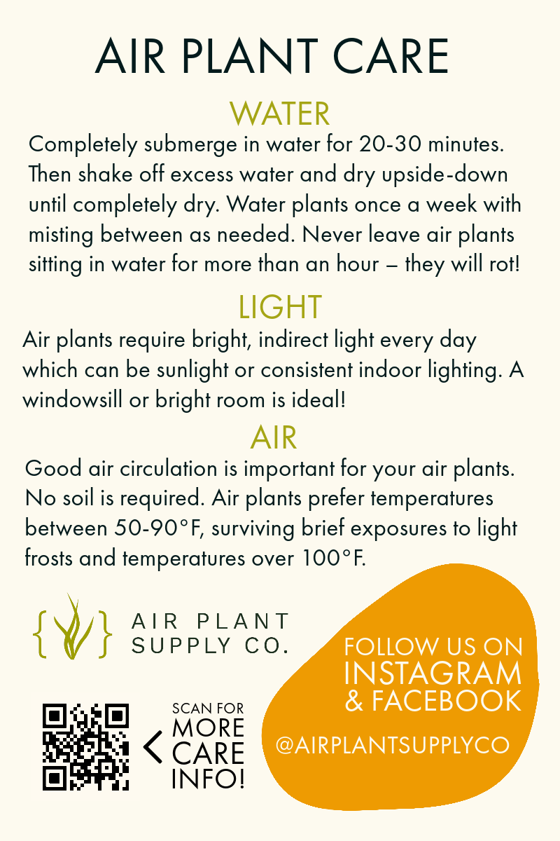 Wholesale - Air Plant Care Cards