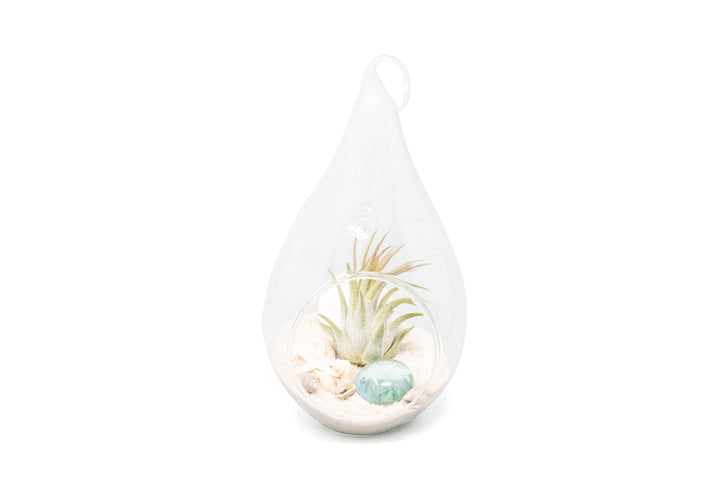 Wholesale - White Beach Terrariums in Teardrop Glass