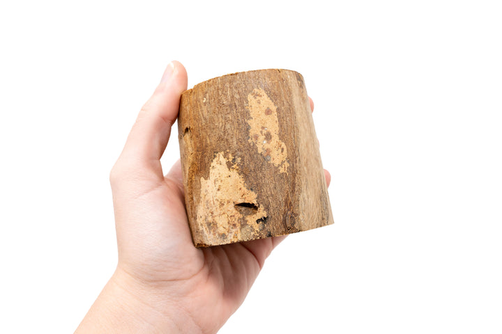 hand holding small driftwood container with varying wood shades