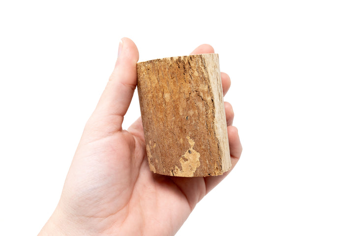 hand holding small driftwood container with varying wood shades