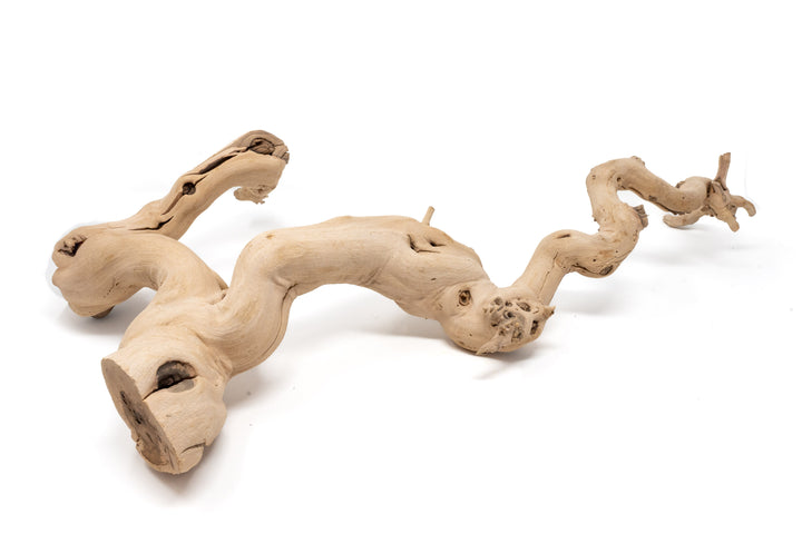 large multibranched grapewood display