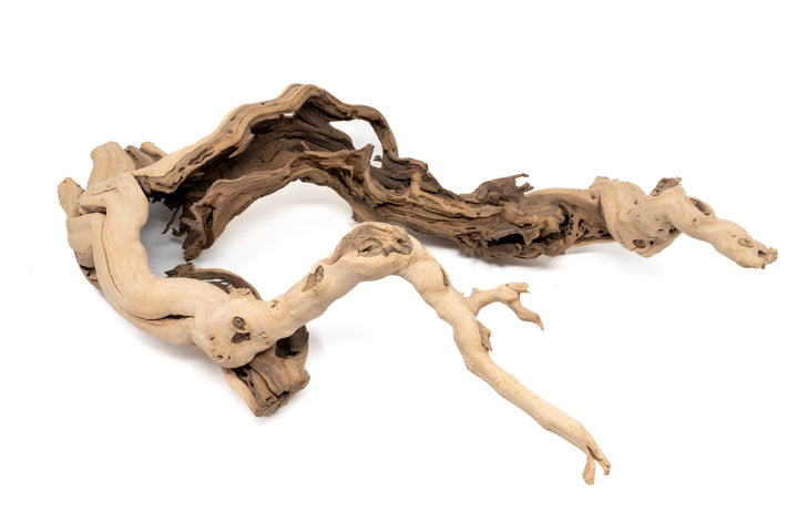 large multibranched grapewood display