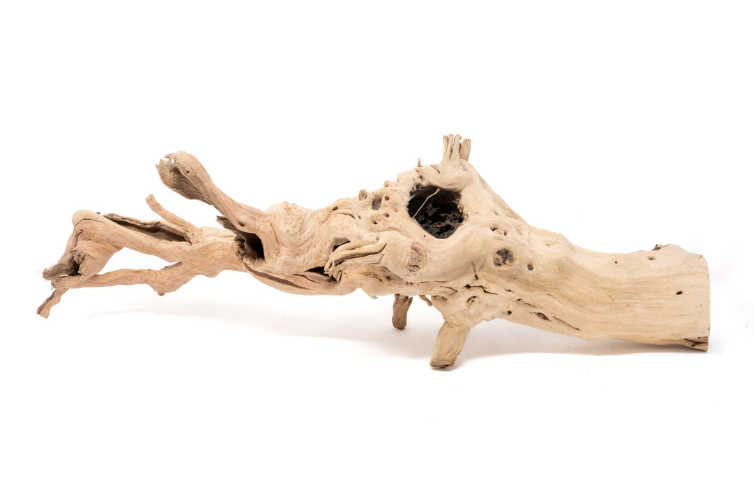 large multibranched grapewood display