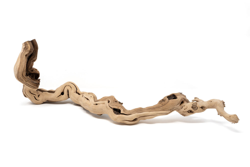 medium sized single branch grapewood display