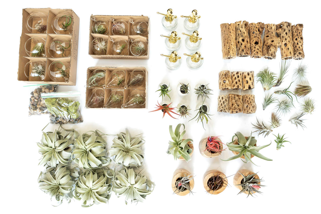 Wholesale - Retail-Ready Easy Table Display Variety Bundle
