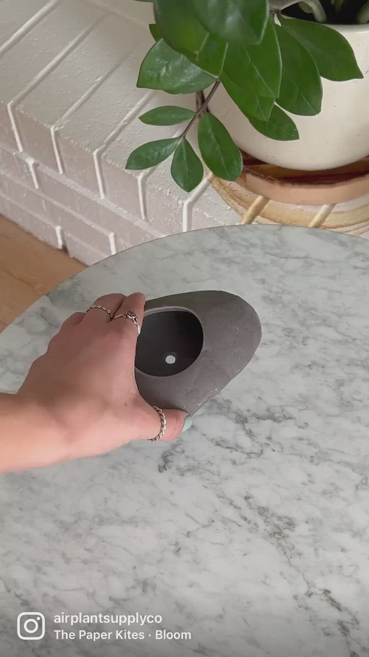 gray ceramic stone plant holder instagram reel