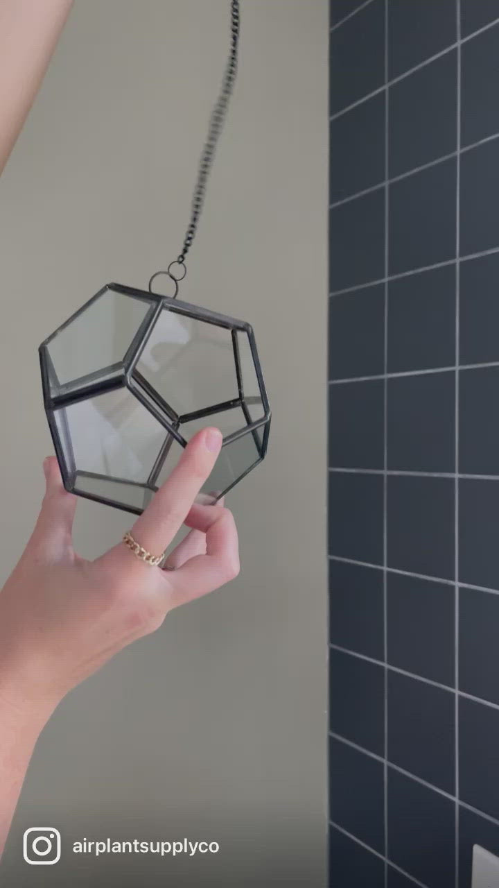 glass pentagon terrarium video montage