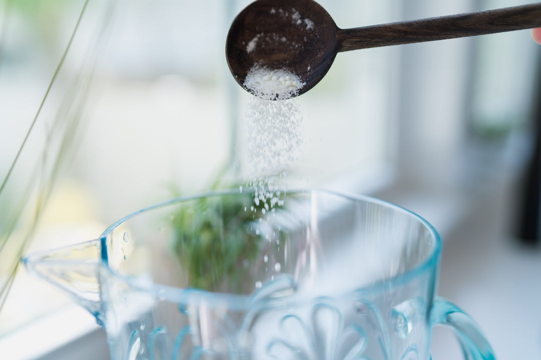 tillandsia air plant powder concentrate fertilizer being mixed with water
