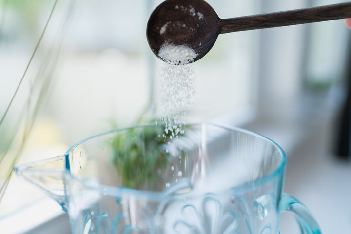 tillandsia air plant powder concentrate fertilizer being mixed with water