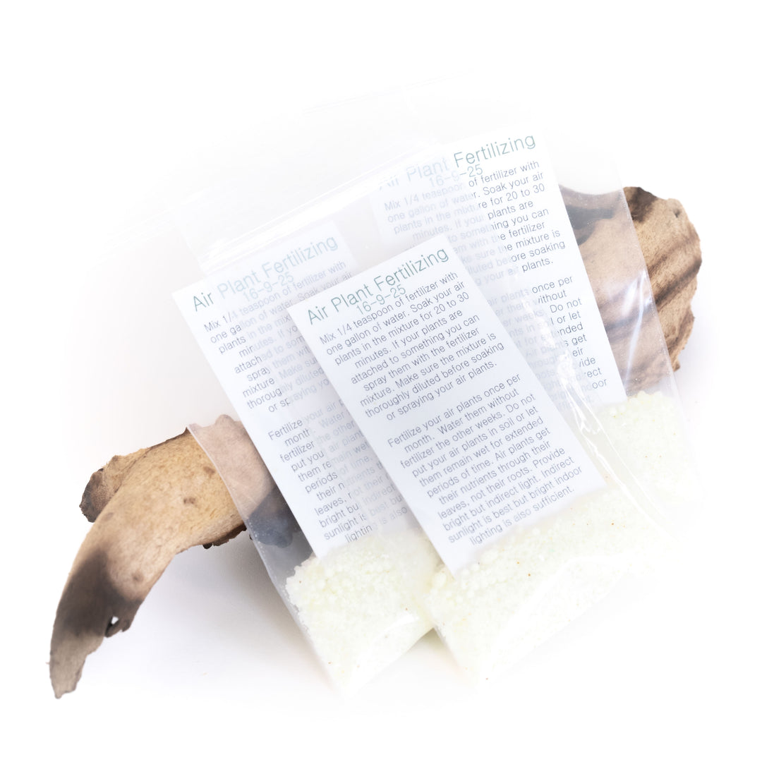 tillandsia air plant powder concentrate fertilizer packet