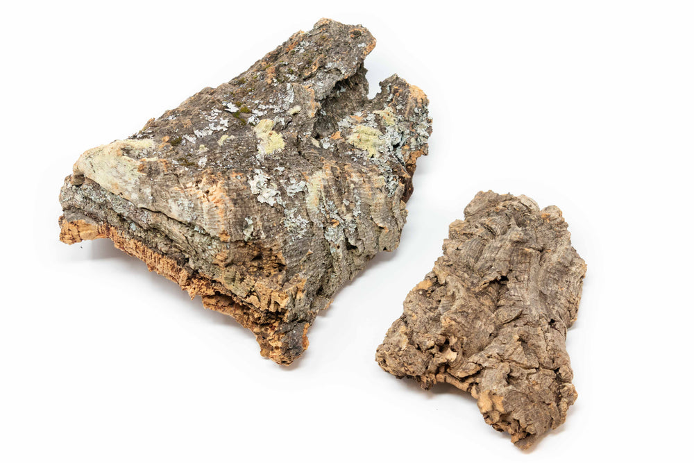 one large and one small piece of virgin cork bark