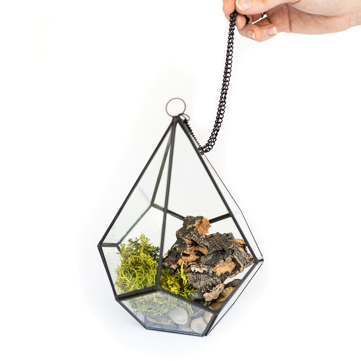 glass diamond terrarium with stones, moss and wood accent