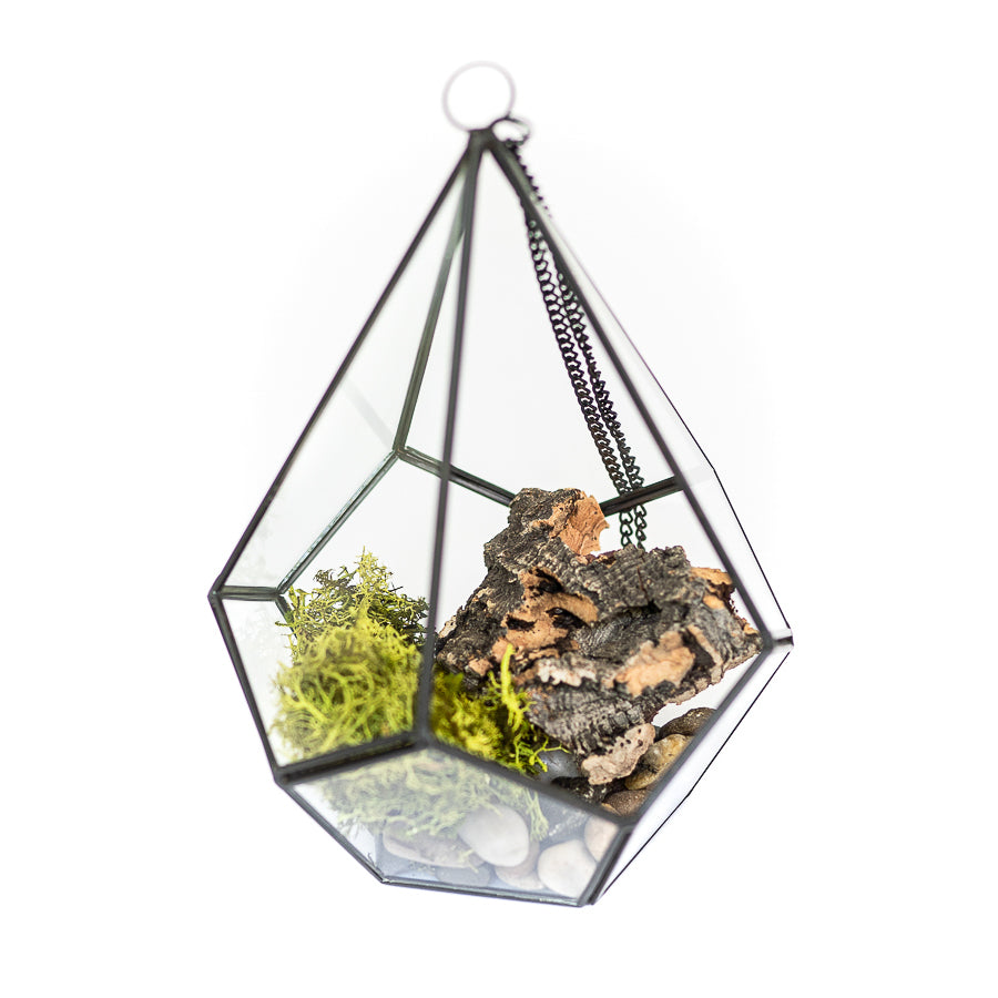 glass diamond terrarium with stones, moss and wood accent