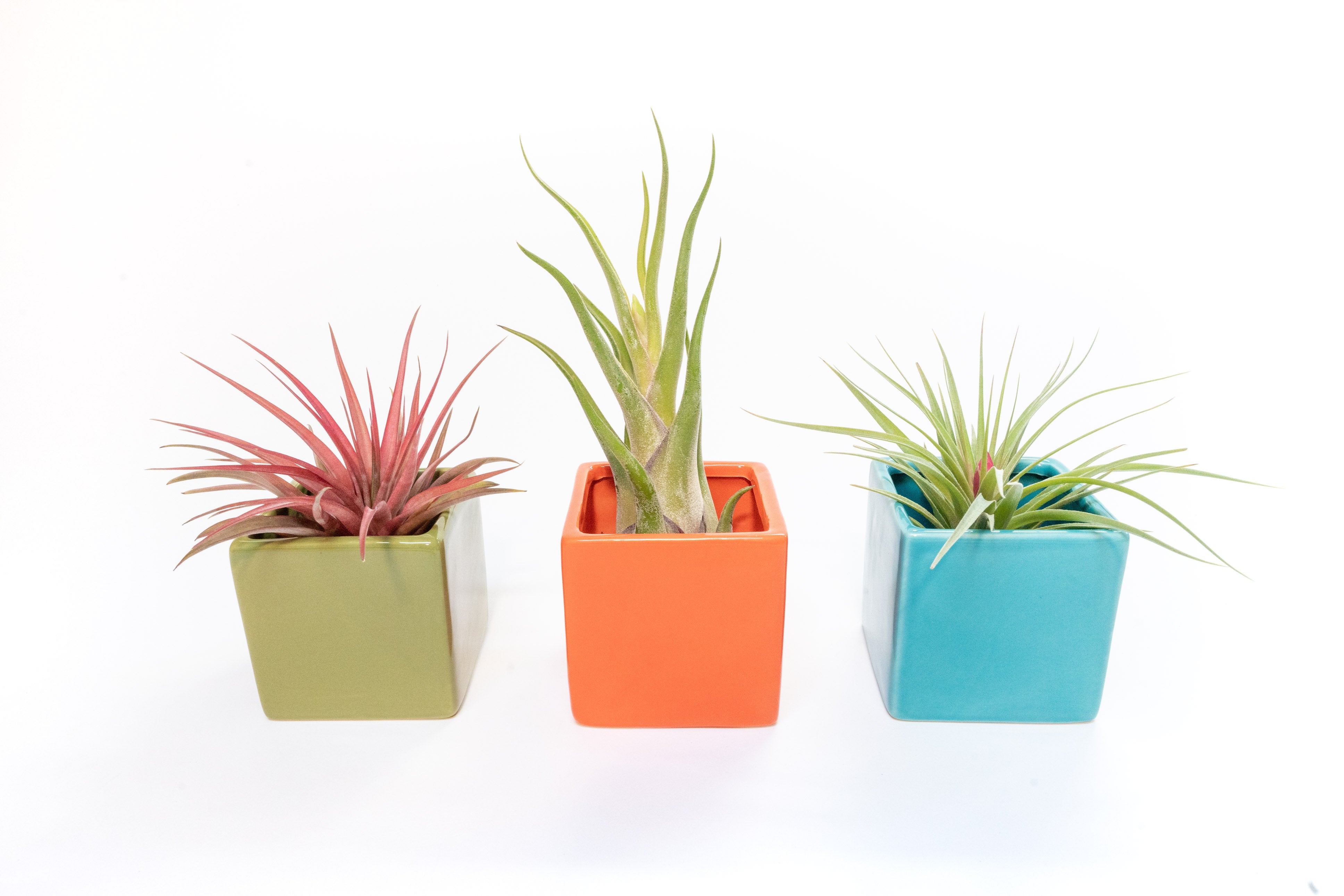 Ceramic Cube Container