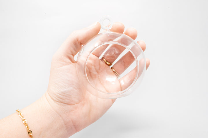 Wholesale - Mini Hanging Flat Bottom Glass Terrariums with Assorted Tillandsia Air Plants