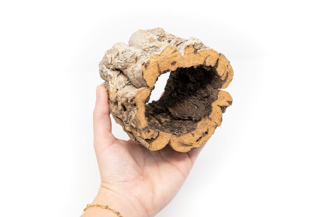 Natural Cork Bark Planter