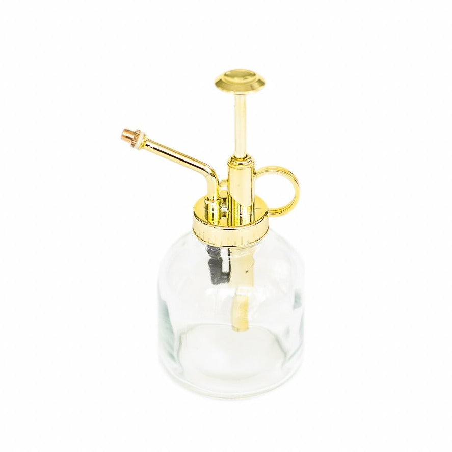 glass tillandsia air plant mister with gold colored pump spray nozzle