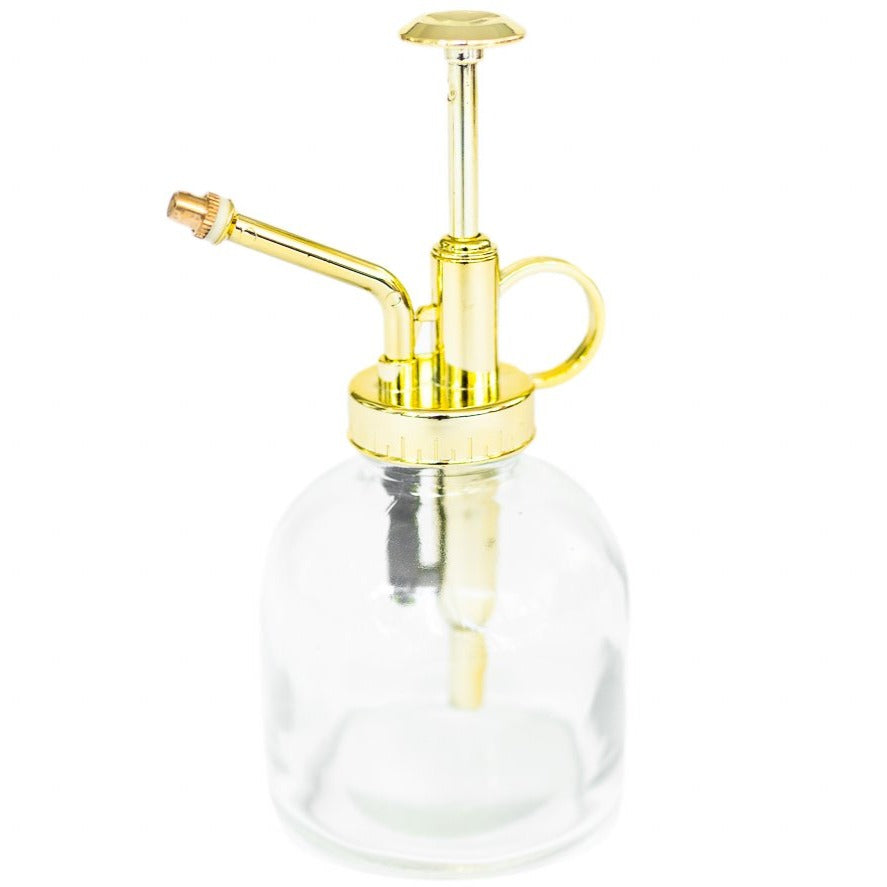 glass tillandsia air plant mister with gold colored pump spray nozzle