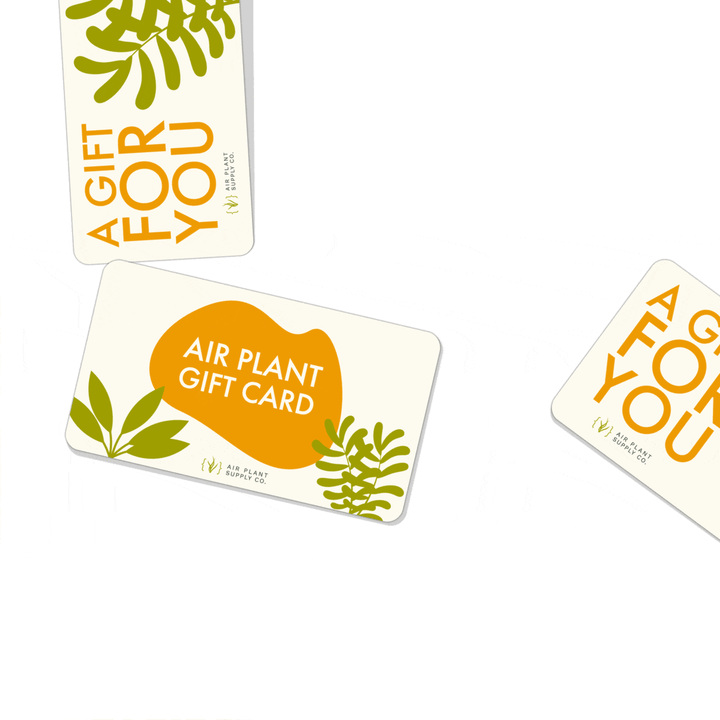 gift card gif