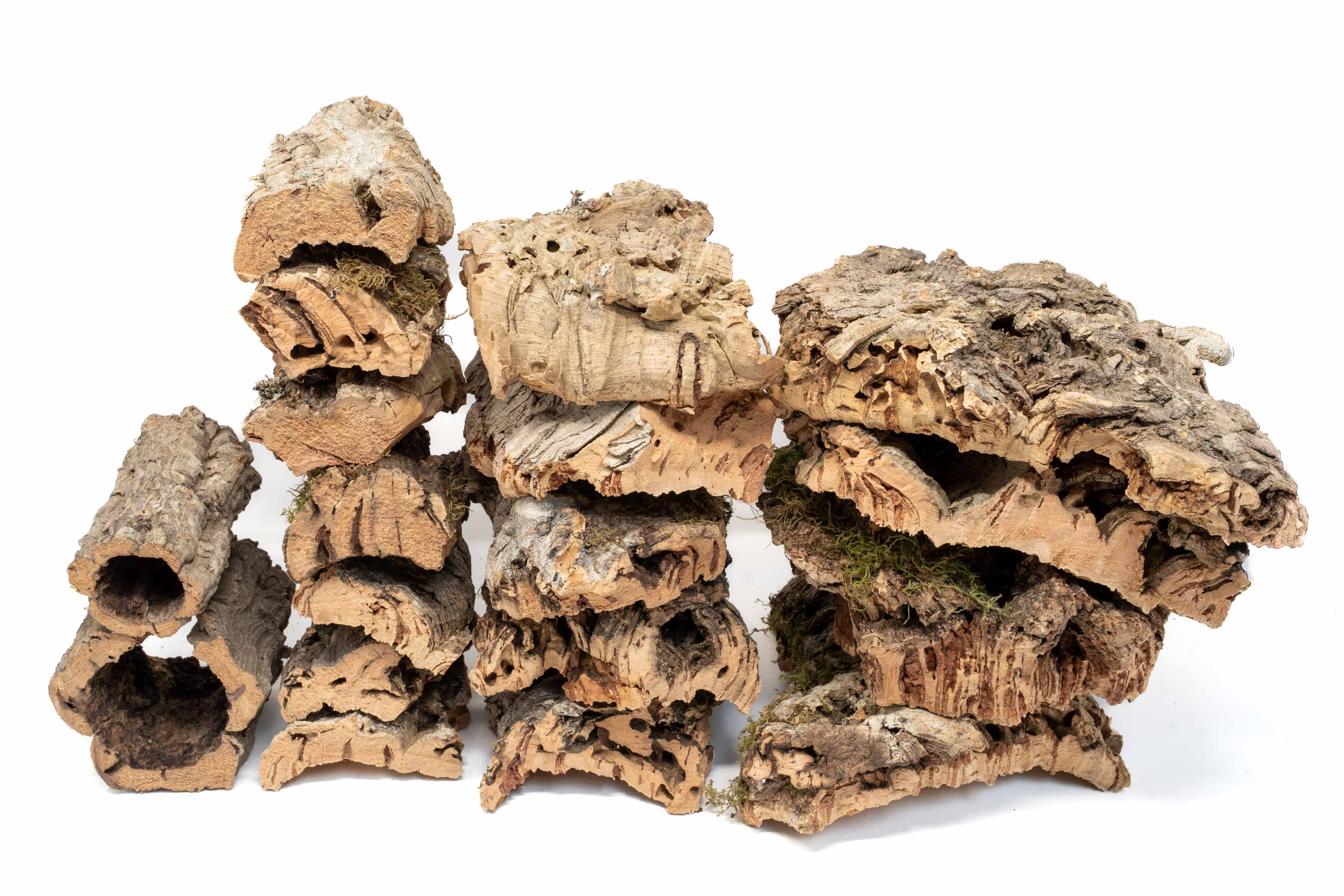 Wholesale - Cork Bark for Orchids, Reptiles & Terrariums – Air