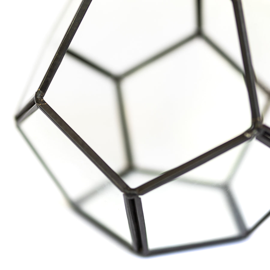 Wholesale - DIY Glass Pentagon Terrarium Air Plant Holder