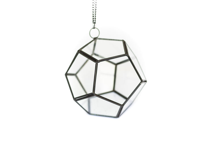 Wholesale - Case Pricing with Free Shipping / Pentagon Terrarium (12 per Case)