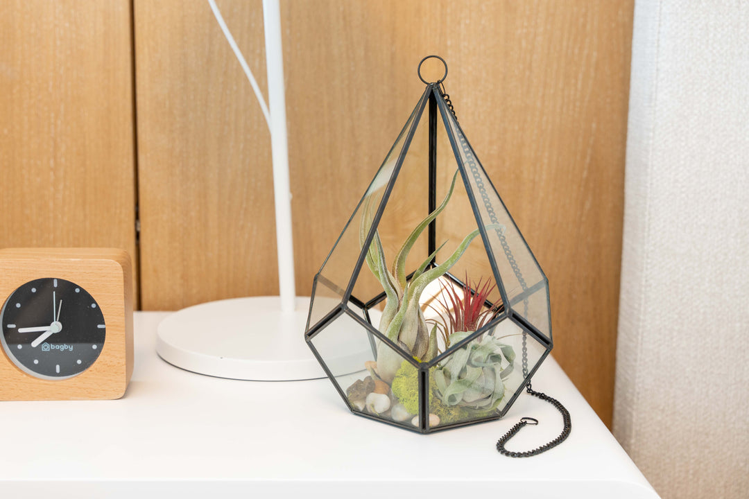 triangle air plant holder Glass Diamond Terrarium