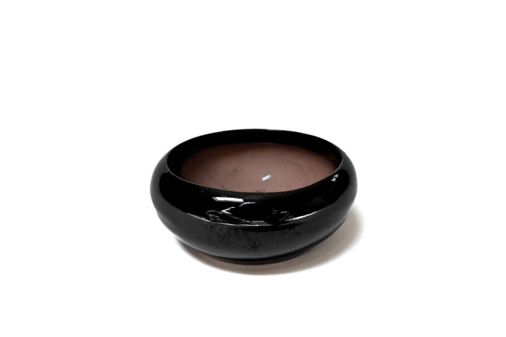 black glazed terracotta plant dish