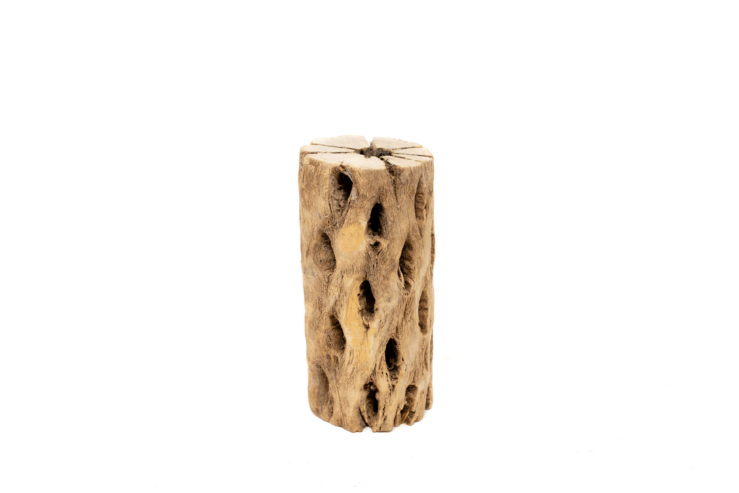 Natural Cholla Wood Container - 6 Inches Tall
