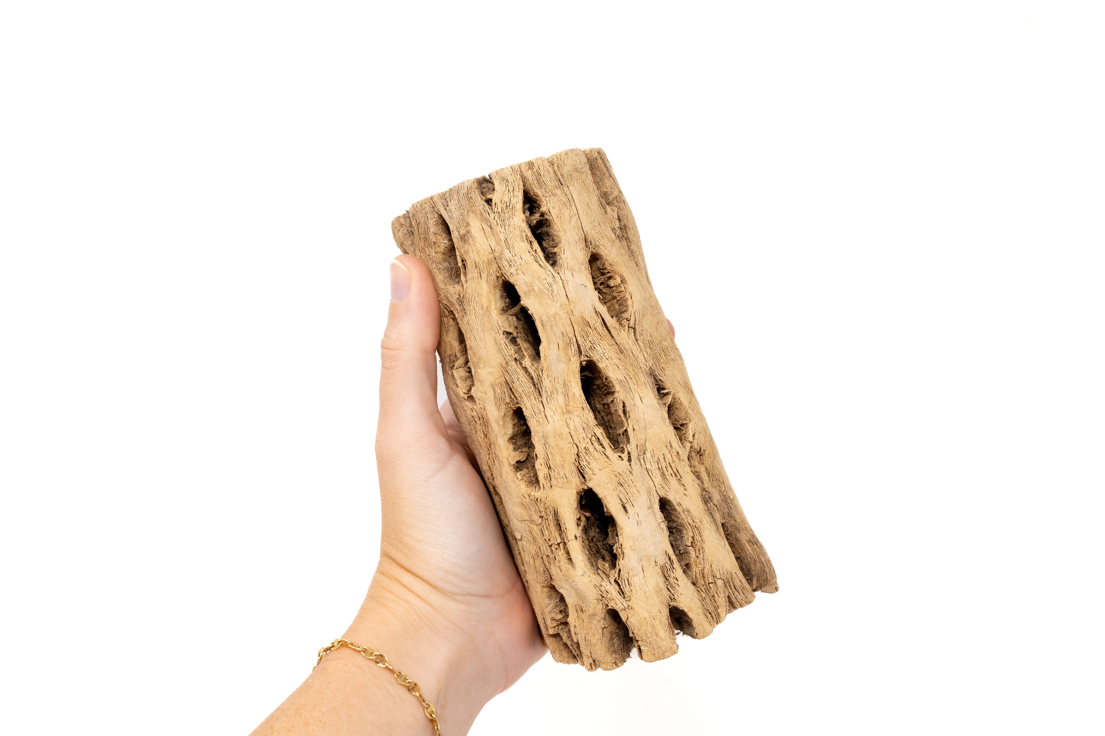Wholesale - Natural Cholla Wood Container - 6 Inches Tall – Air