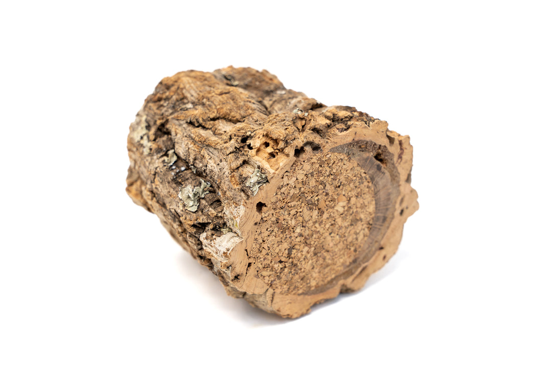 Wholesale - Natural Cork Bark Planters