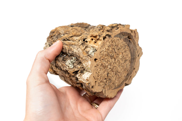 Wholesale - Natural Cork Bark Planters