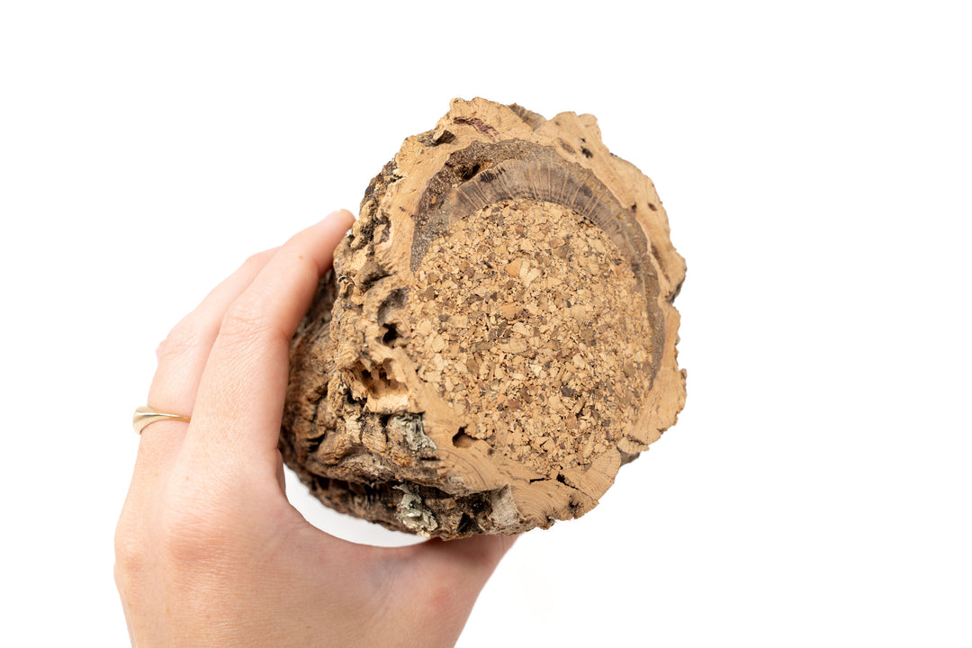 Wholesale - Natural Cork Bark Planters