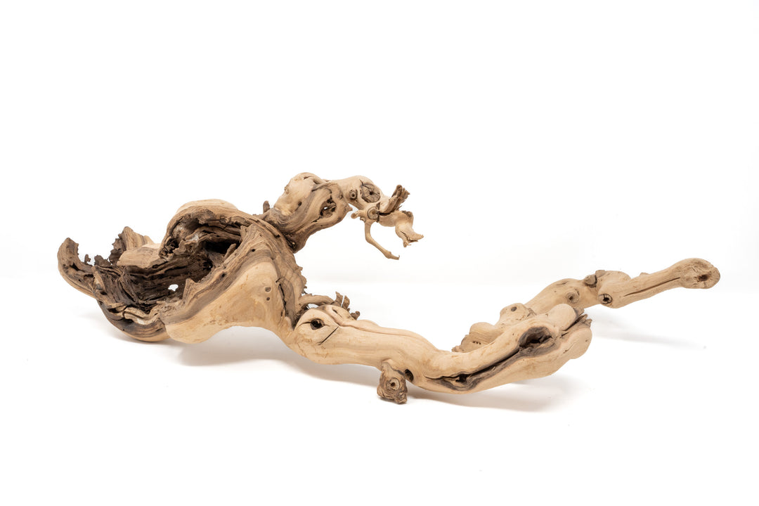 large multibranch grapewood display