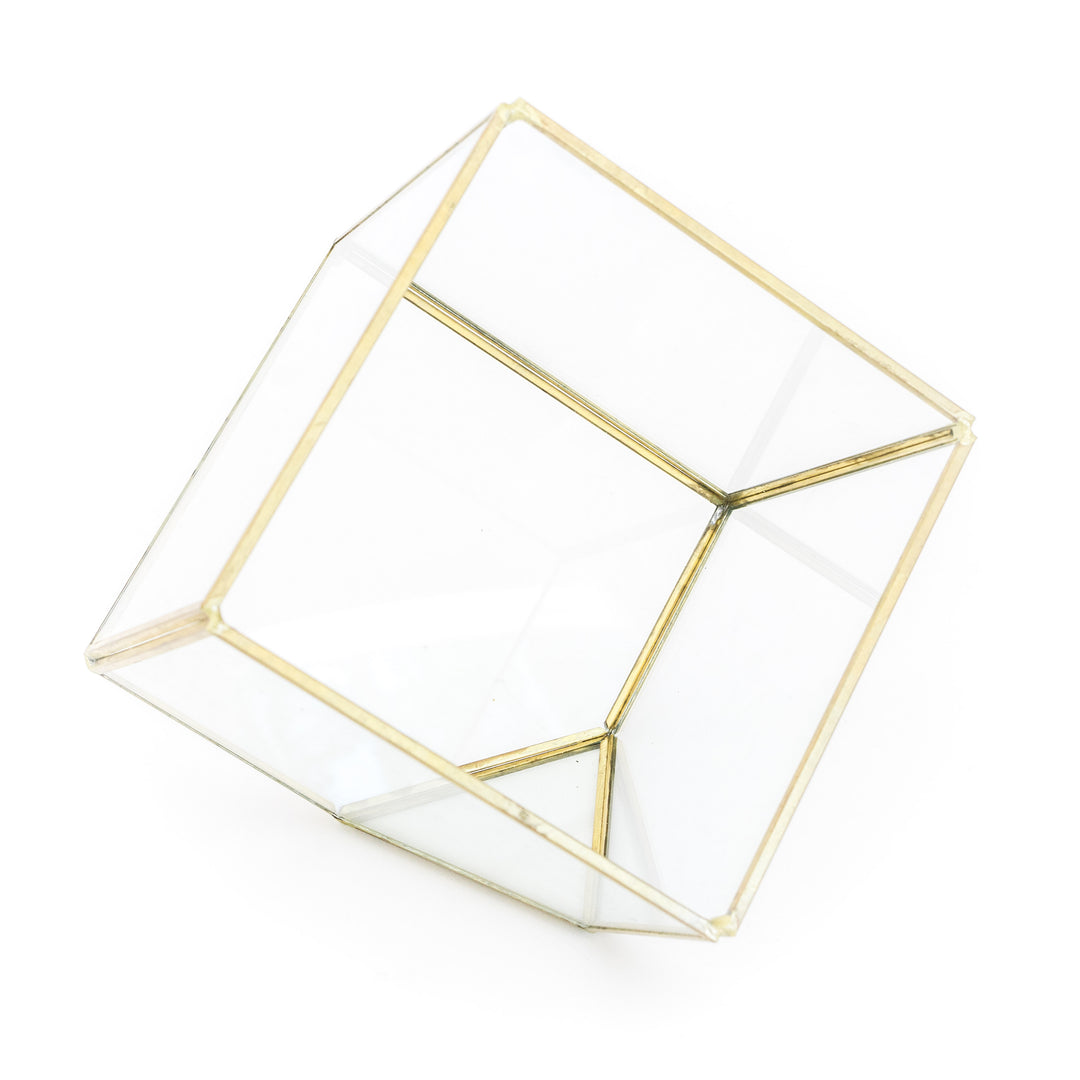 Wholesale - Heptahedron Geometric Glass Terrarium with Custom Tillandsia Air Plants