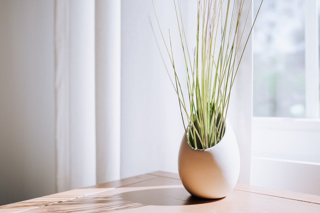 flat hanging planter Wholesale