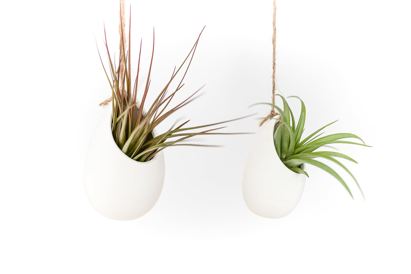 hanging planter for air plants Large Ivory Ceramic Container