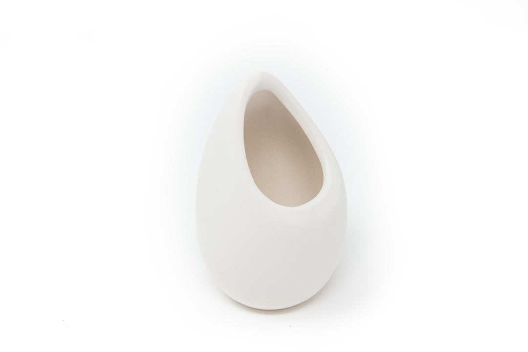 Wholesale - Small Ivory Ceramic Vase with Tillandsia Abdita, Velutina & Harrisii Air Plants