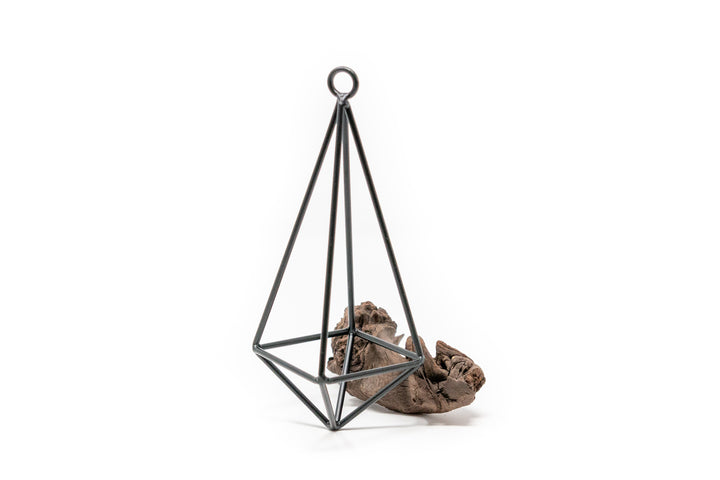 Wholesale - Hanging Metal Pendant Kit with Assorted Tillandsia Air Plants