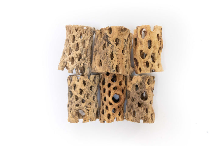 six 3 inch chollo wood containers. three wide containers and 3 thin containers