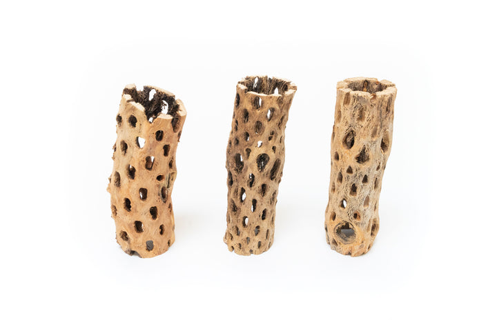 three 6 inch cholla wood containers 