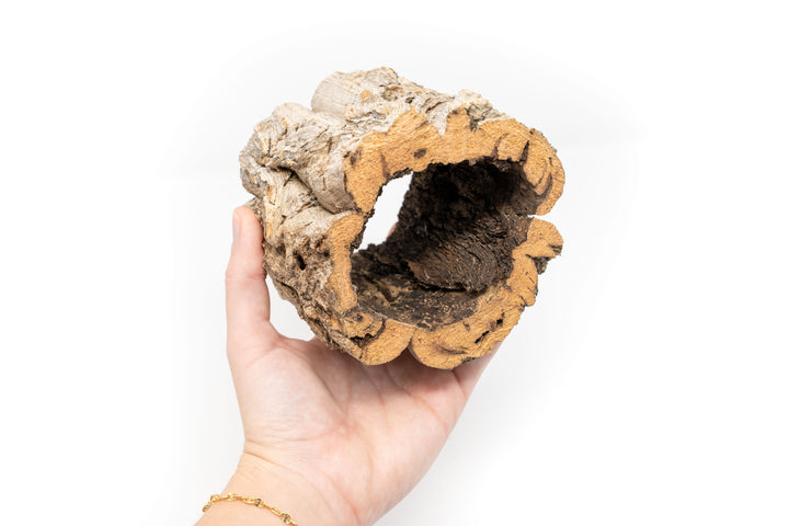 Natural Cork Bark Planter