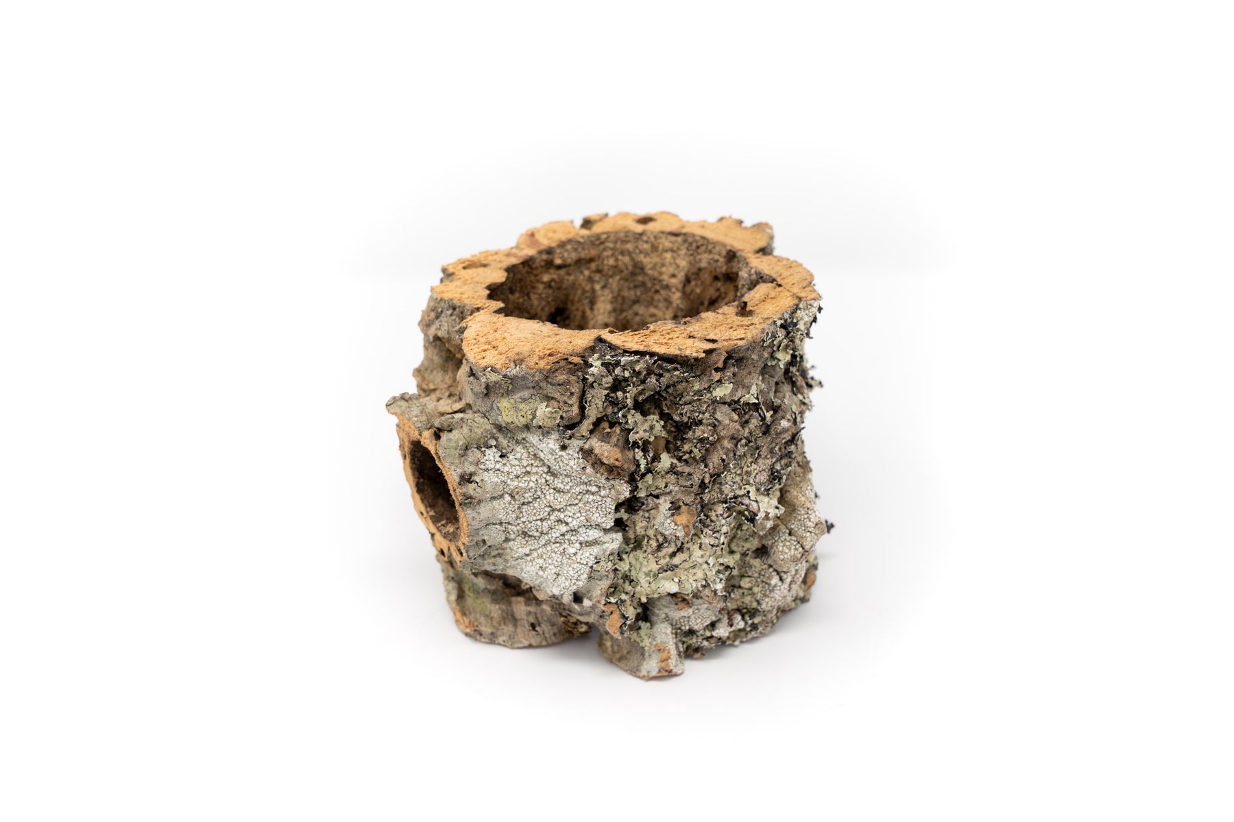 cork planter pot Natural Cork Bark Planters, 3 Pack