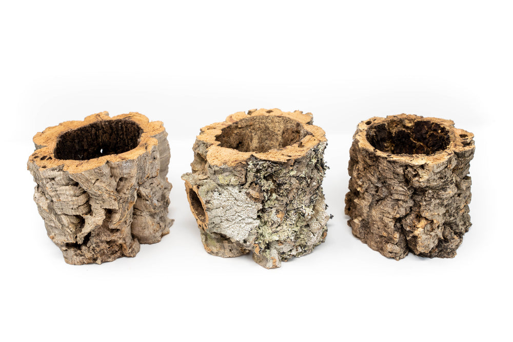 3 Natural Cork Bark Planters