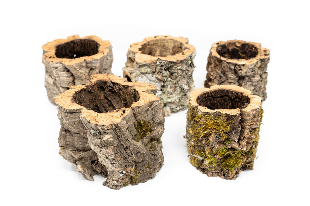 bark planter pot Wholesale